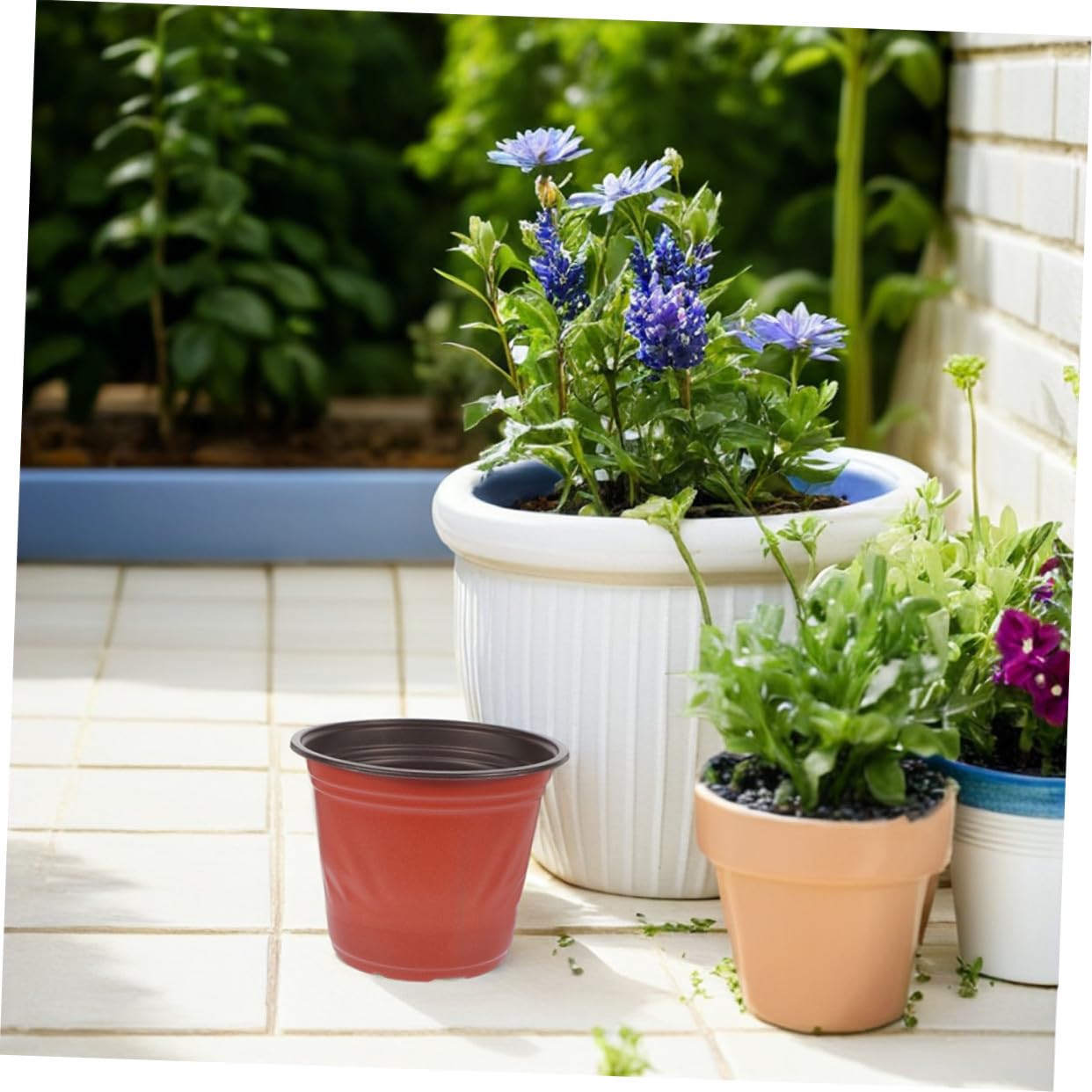 Abaodam 60 Pièces Lot de Mini Pots à Bicolores Plastique Petits Pots Ronds pour Semis Culture Intérieure Orchidées Cactus et Légumes pour et Balcon