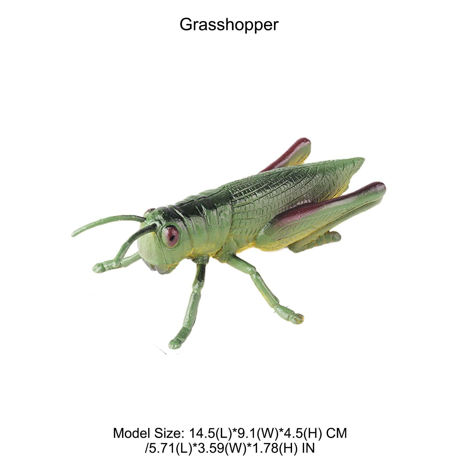 Amazon.com: AENIMELY Large Grasshopper Figurine – Hollow Realistic