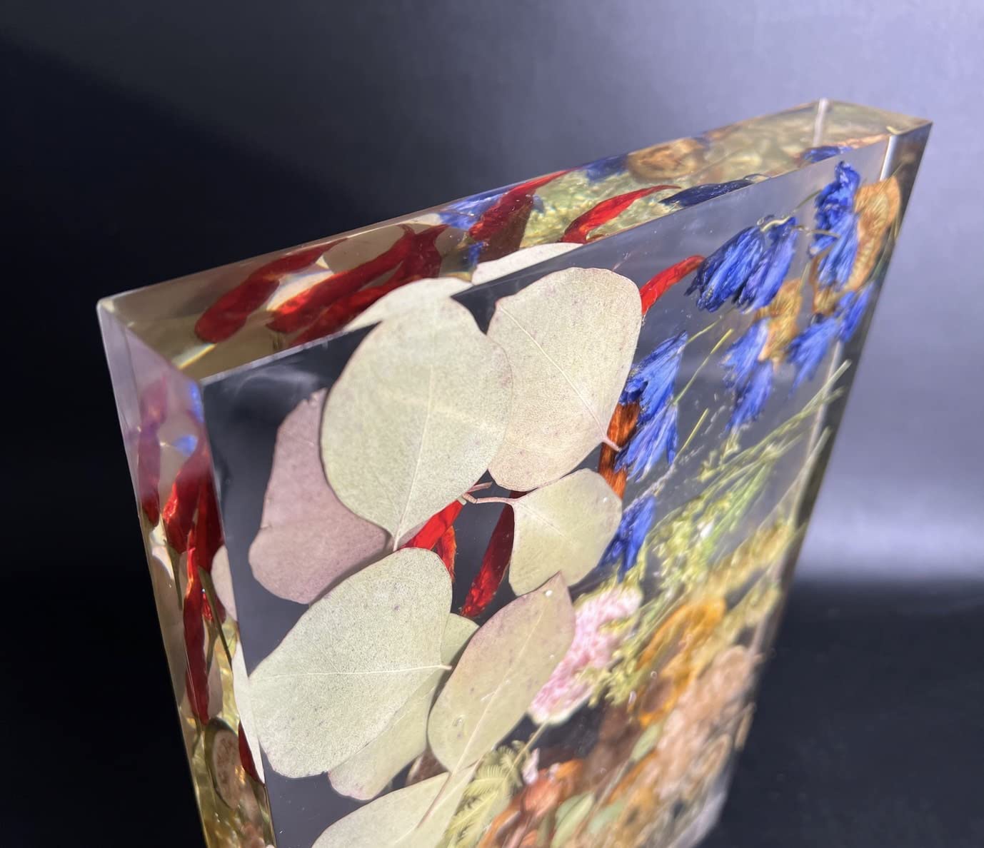 Amazon.co.jp: レジン型枠用 大型シリコンモールド 鏡面仕上げ 耐熱