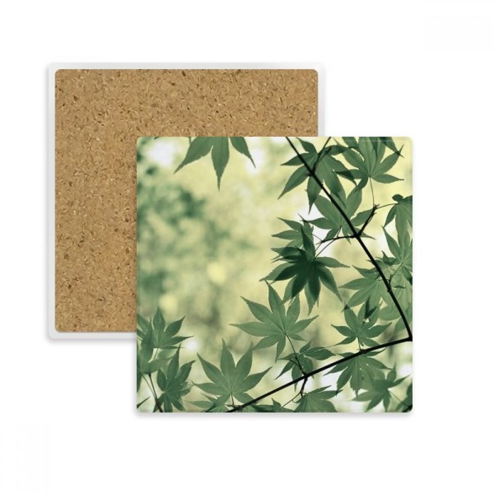 Pierre pour le cadeau de boissons motif feuille d'érable multicolore unique
