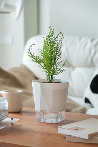 Miniatura 5 de Qimodo Paquete de 3 macetas de plástico de 8.56.75 pulgadas con autorriego para interiores, plantas decorativas modernas y macetas para suculentas,