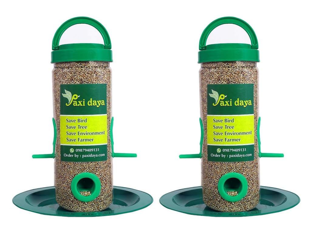 PAXI DAYA Window Bird Feeder Plastic Material Green Color Food Small and Medium Birds (Pack of 2) (B0CW1JC4XP) Amazon Price History, Amazon Price Tracker