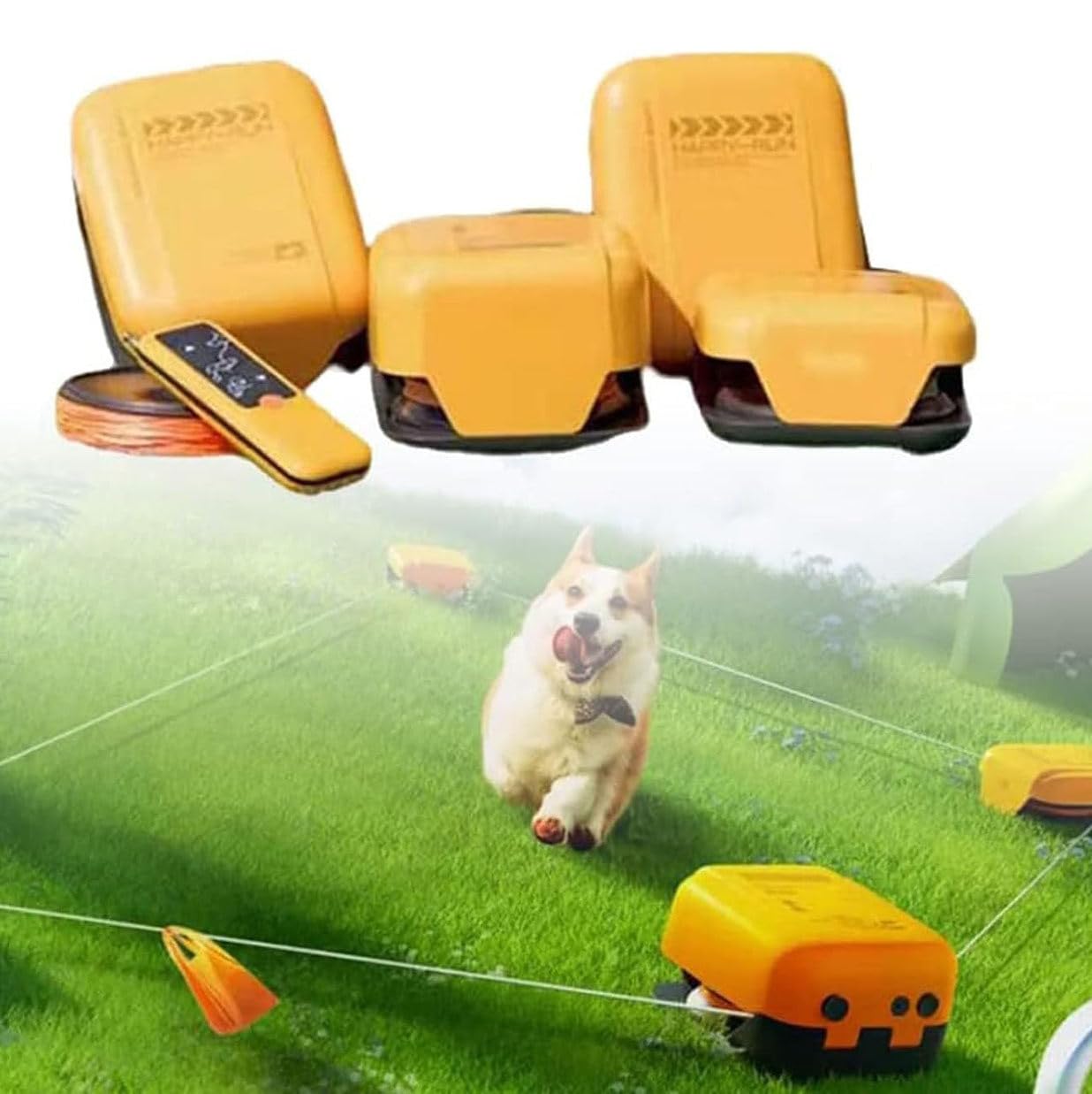 Zestawy sprzętu do agility dla szczeniąt, zabawka do gonitwy dla psów, tor przeszkód dla psów, interaktywna zabawka do zabawy dla psów