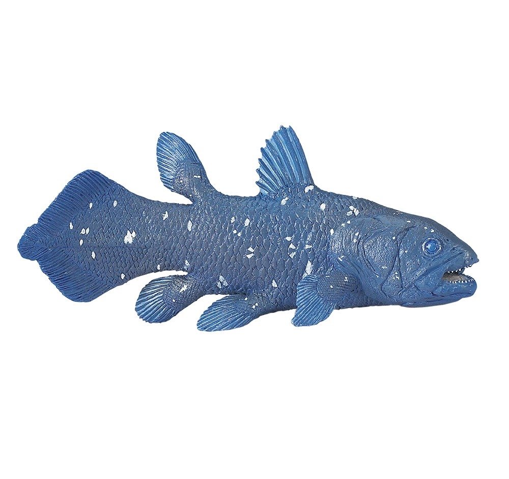 Amazon | Safari (サファリ) シーラカンス フィギュア 285729