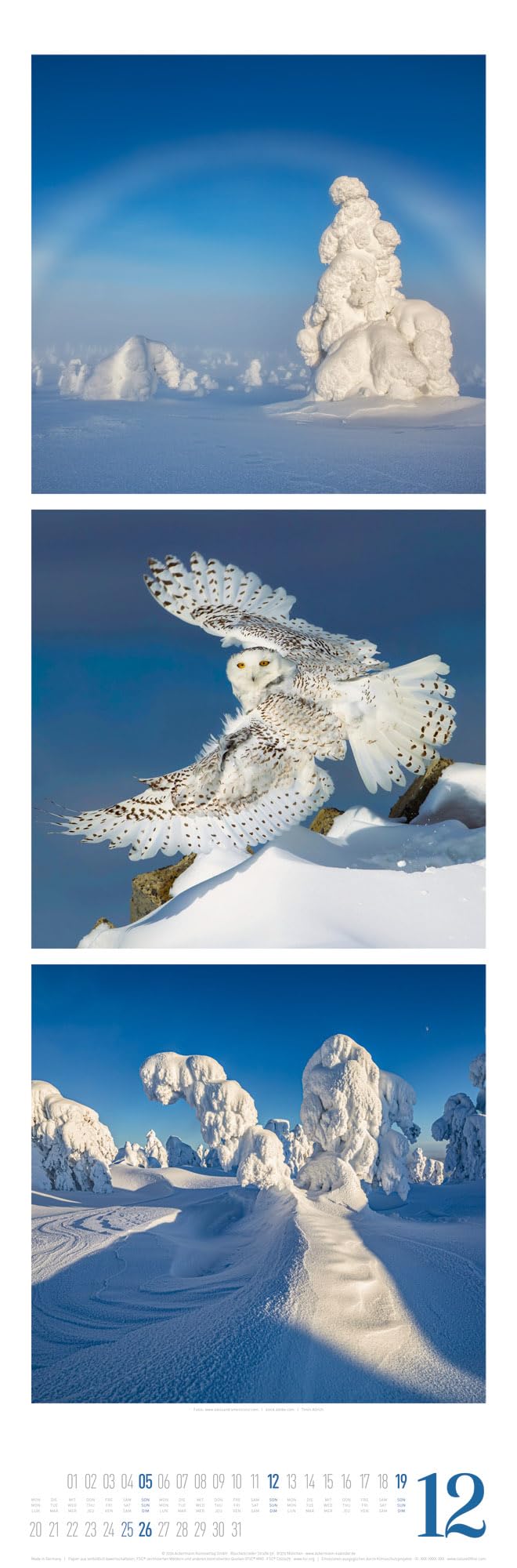 Nature Triplet-Kalender 2027 | Stilvoller Natur-Kalender im schlanken Hochformat (33x100 cm) | Triplet-Fotografie im Premium-Format