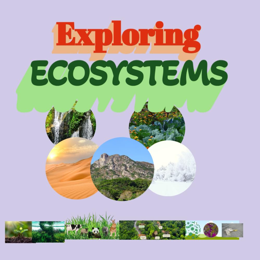 Exploring Ecosystems: for kids 8 to 12 years Producers Herbivores carnivores Decomposers Types of Ecosystems Ocean Food Chain food chain food web