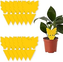 10 x Adhesive Insect Traps Plant Flycatcher, Plug-in Fly Trap for Against Flies, Aphids and White Flies