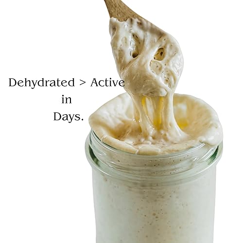 Miniatura 2 de Cultivo básico de masa madre deshidratada, iniciador de masa madre seca estilo San Francisco con instrucciones simples de activación