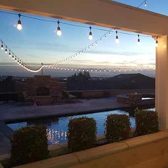 Novelty Lights 25個パック S14 LED プラスチック フレックス フィラメント 屋外 テラス グローブ 交換用電球 つや消し 温白色 調光可能 E26 並形口金 0.8ワット