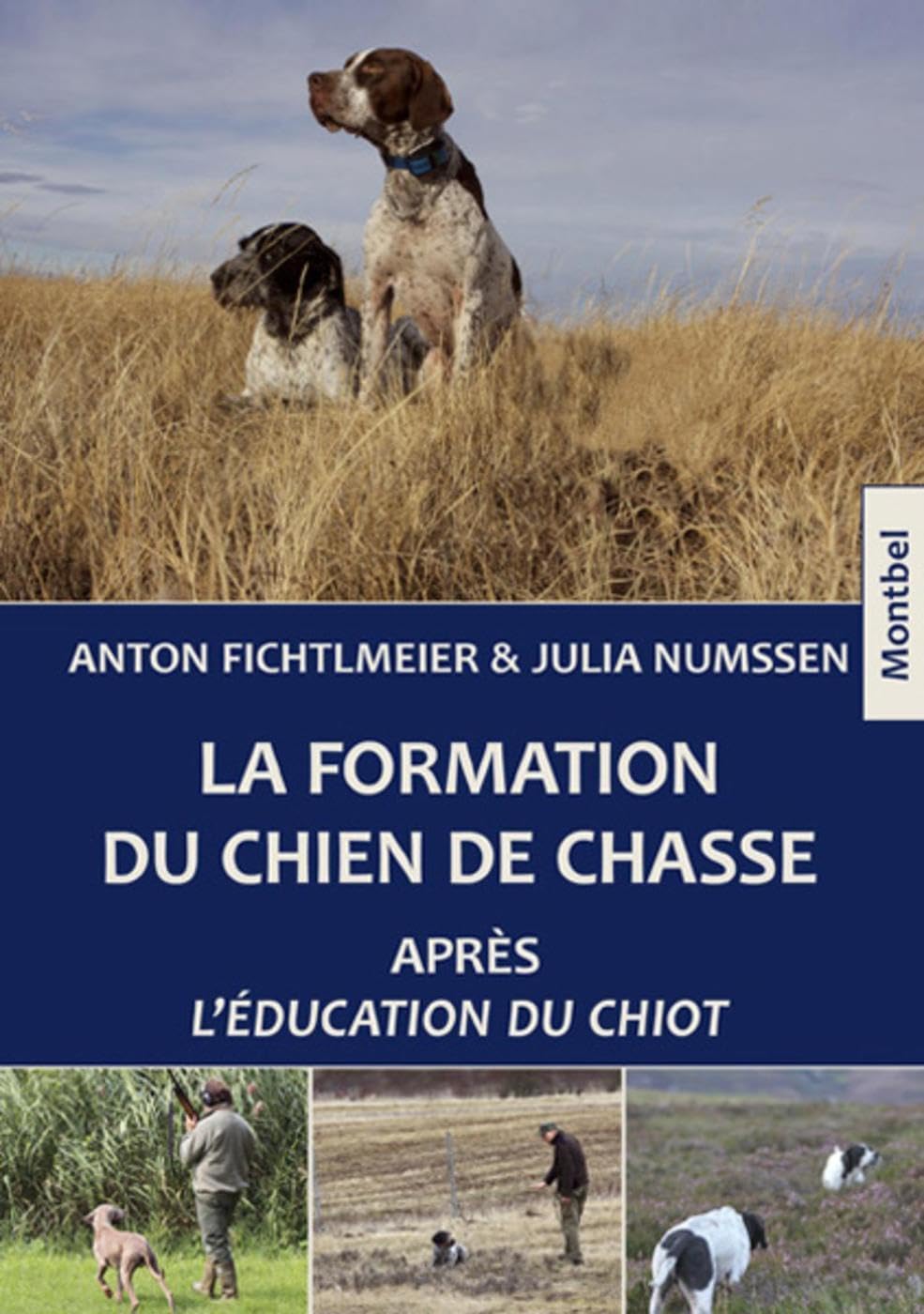 La formation du chien de chasse: Après L'éducation du chiot.