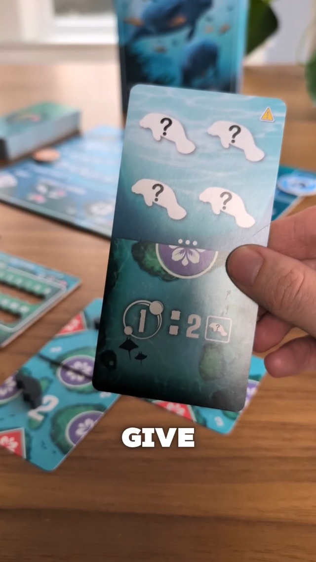 Amazon.com: Manatee Sanctuary: Seacow Edition Board Game