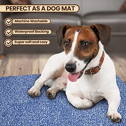 Image of Door Mats Indoor 20 inch x 30 inch, Front Entry Door Mat, Super Absorbent Microfiber Entryway Rug, Non-Slip Waterproof Rugs for Entryway, Floor Mats, Mats for Dogs, Machine Washable Rug,
