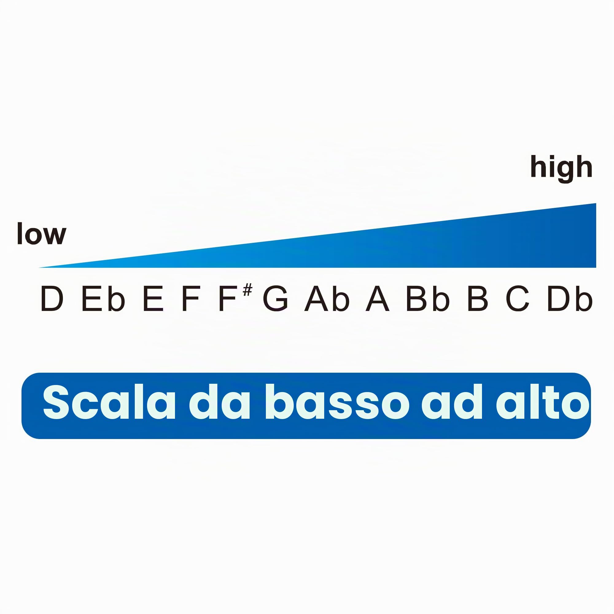EAST TOP FORERUNNER 2.0 Aggiornato senza valvole Armonica Cromatica 12 Fori 48 Toni Chiave Do Organo a Bocca Cromatico Armonica per Adulti, Principianti e Studenti