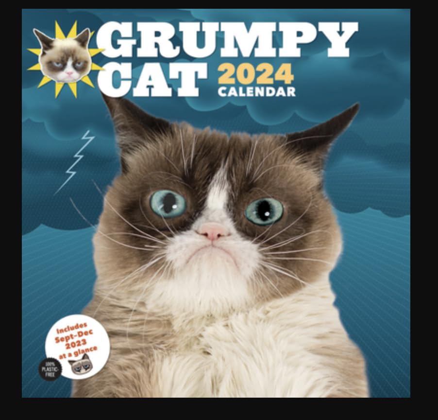 Grumpy Cat 2024 Wall Calendar