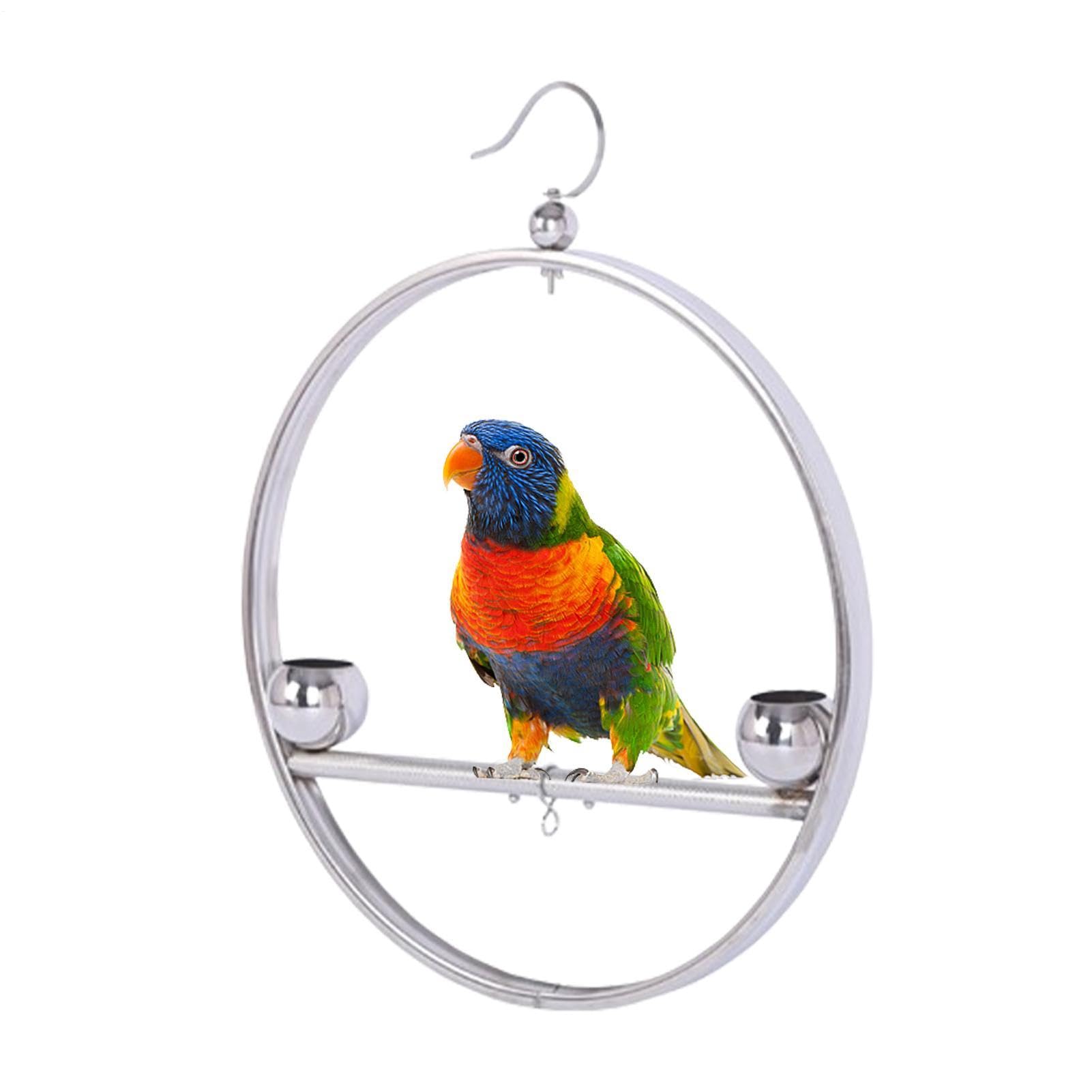 Support d'entraînement pour oiseaux en acier pour stimuler et nourrir votre animal
