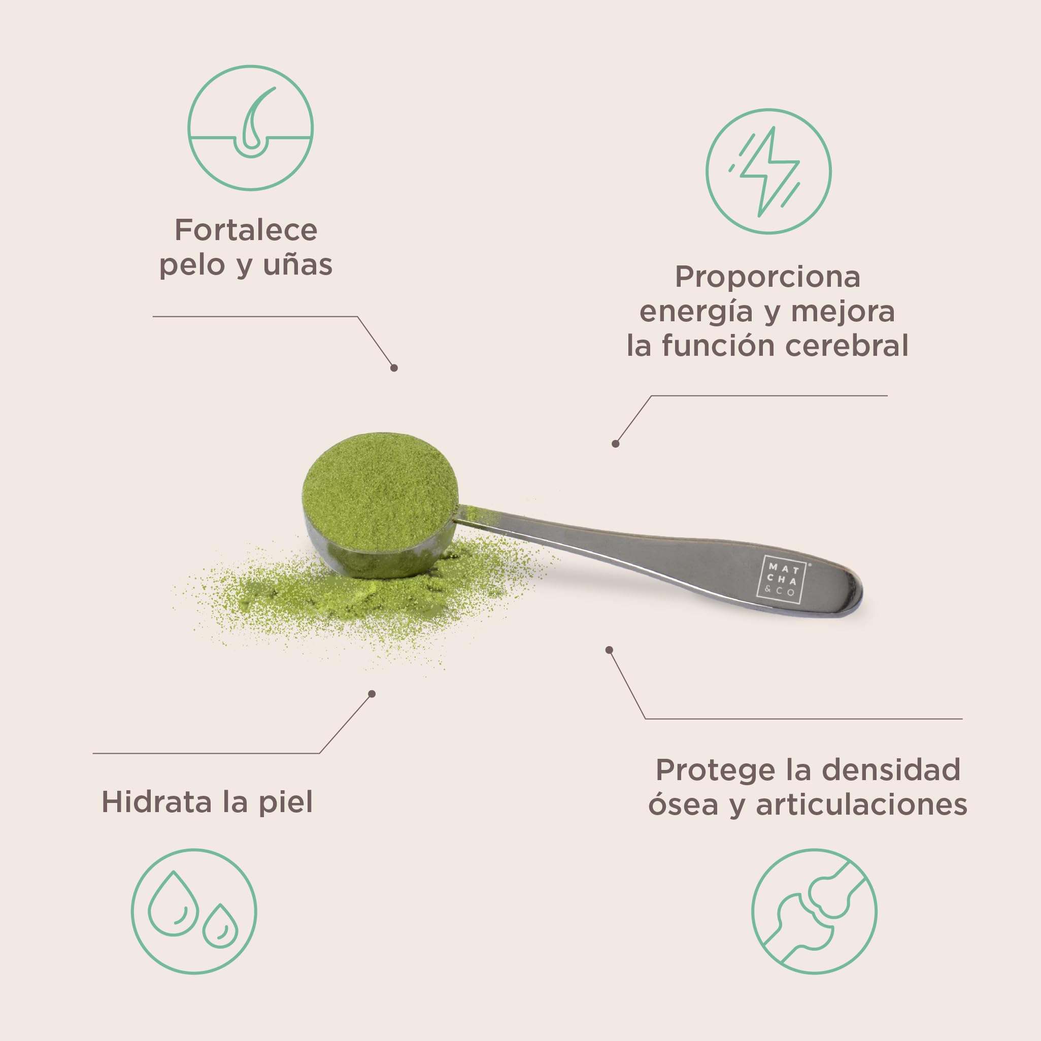 Matcha Collagen Colágeno Marino con Magnesio, Té Matcha y Ácido Hialurónico 290 g