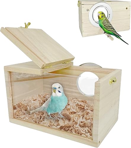 Caja de anidación de periquitos de acrílico transparente, caja de cría de pájaros de madera natural con perca para cacatúas, agapornis, budgie,