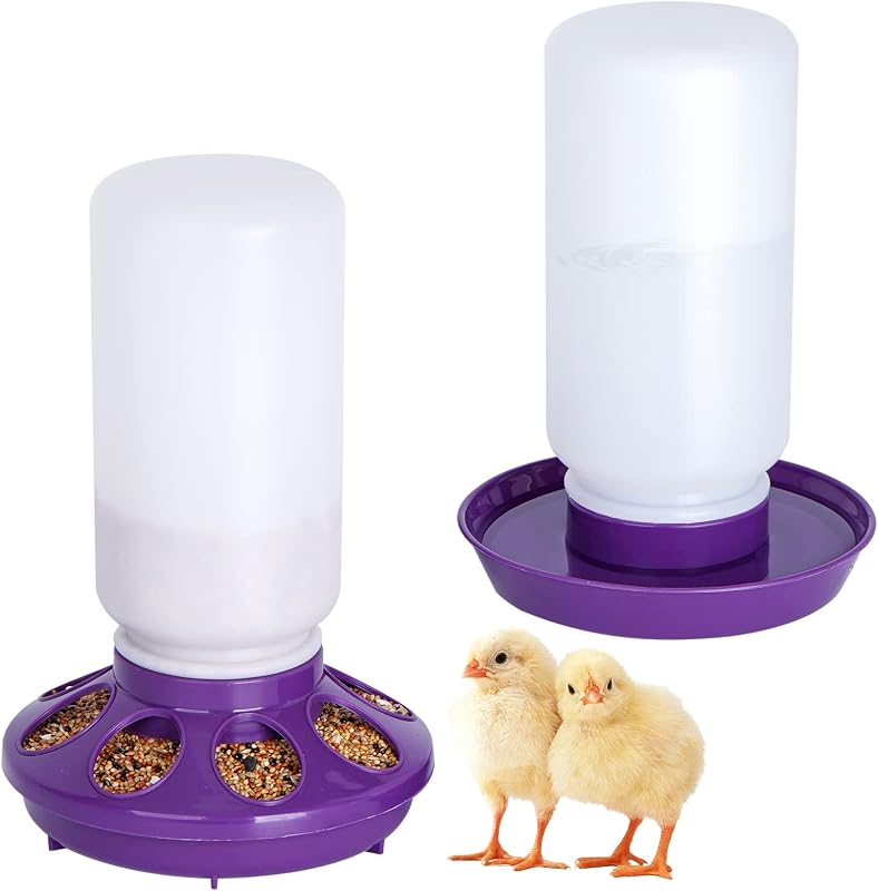 Chick Feeder and Waterer Set no Waste Chicken Water Dispenser 1L Chicken Water Feeder Poultry Waterer Baby Chick Duckling Supplies Starter Kit (Purple)