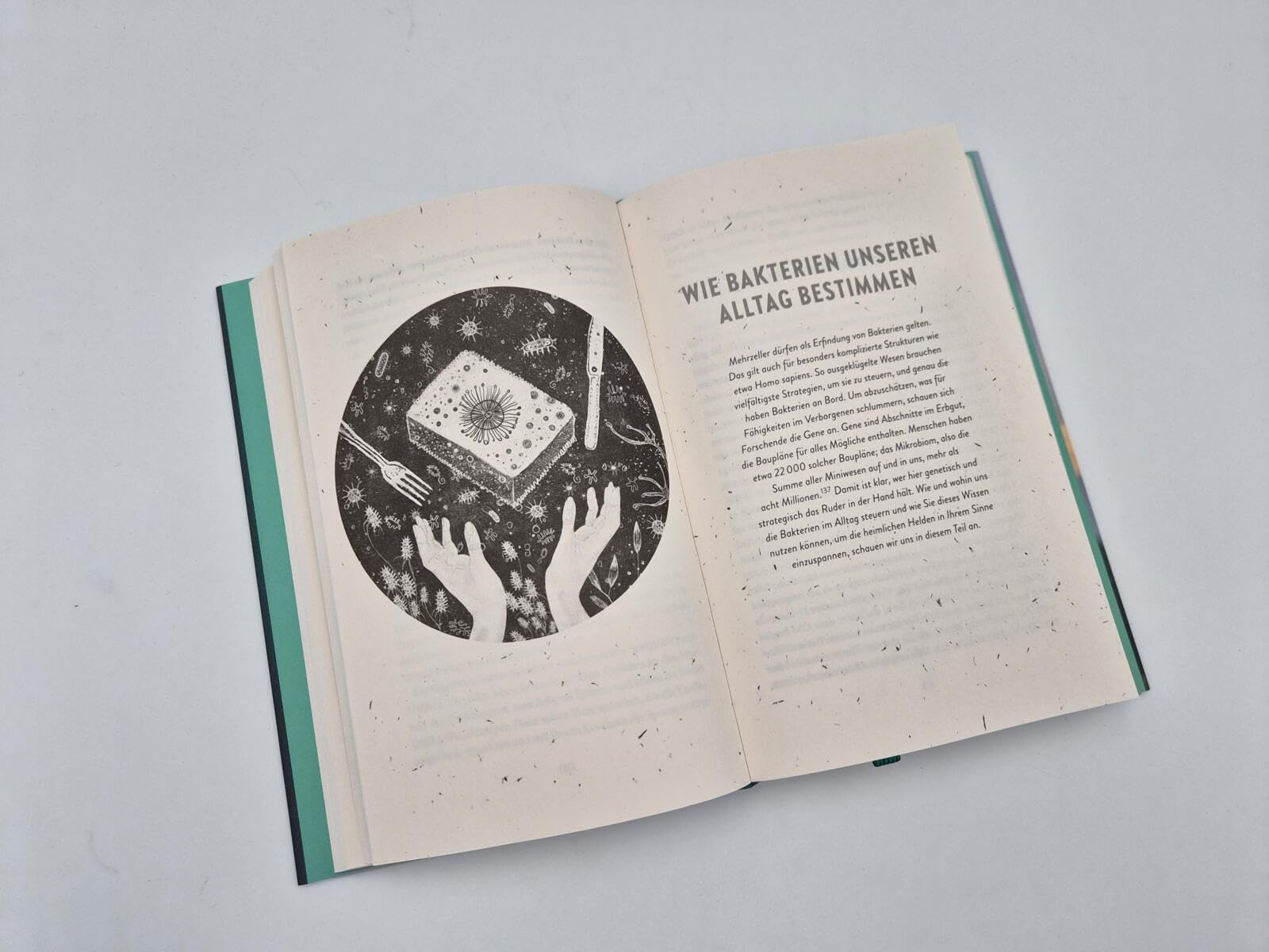 Bakterien - die heimlichen Helden: Wie sie uns Menschen prägen und die Natur beeinflussen | Das neue, bahnbrechende Buch vom Autor des Weltbestsellers 'Das geheime Leben der Bäume'
