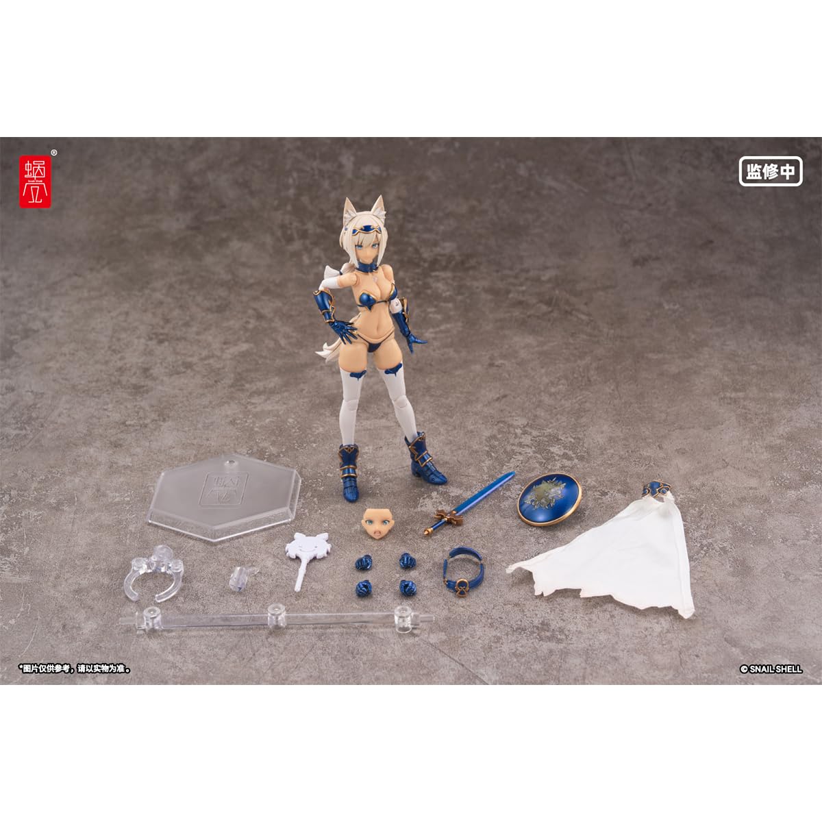 Amazon.co.jp: HiPlay : 蝸の殻