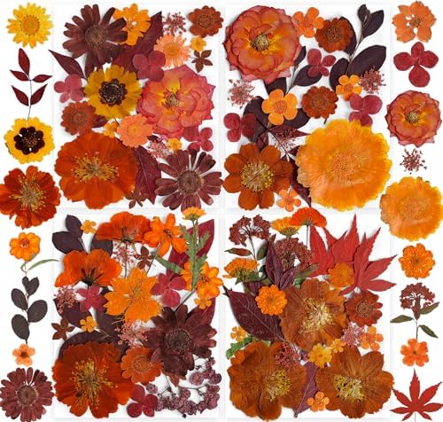 141PCS Brown Fall Dried Pressed Flowers for Resin - YouthBro Real...