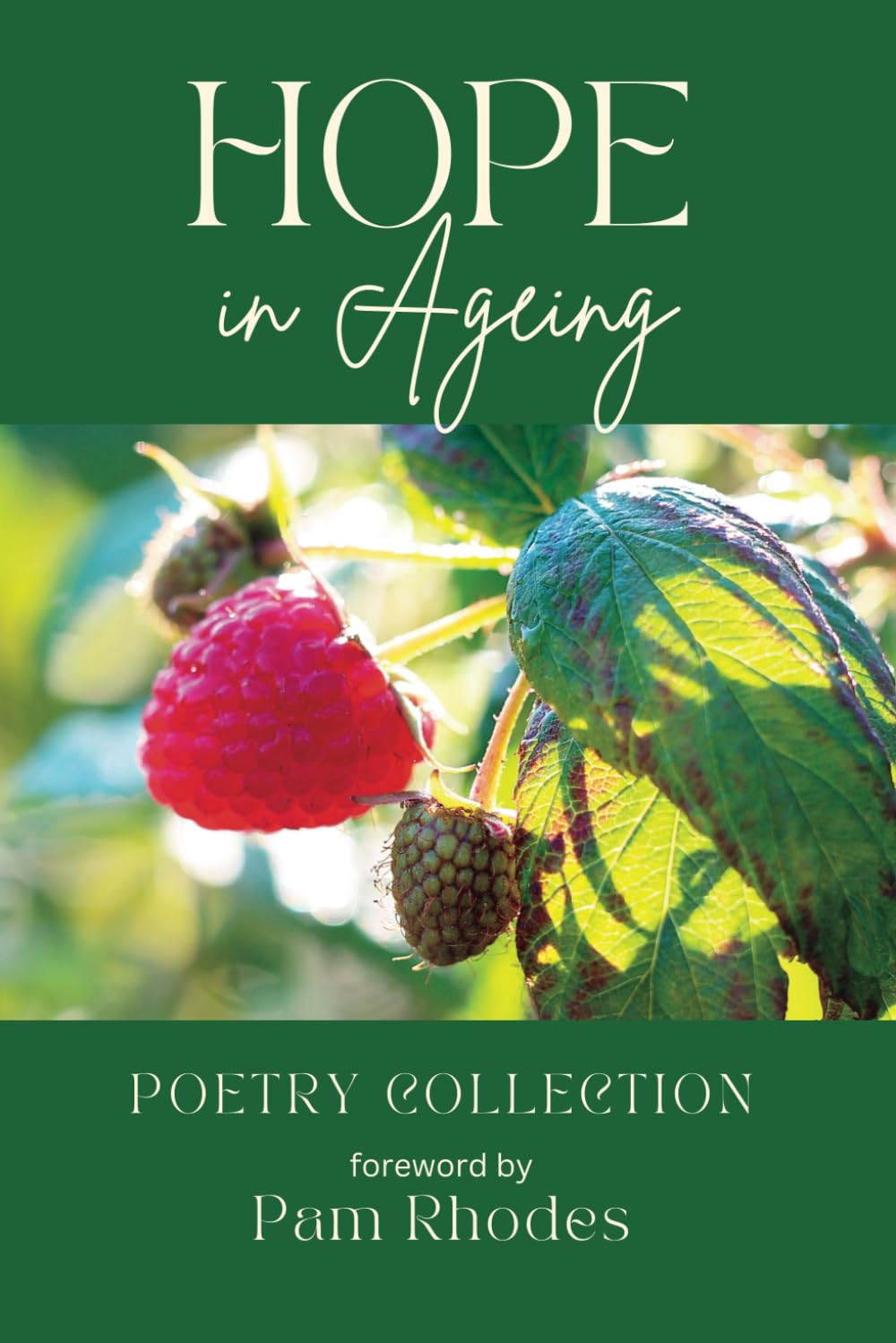 Hope in Ageing: Poetry Collection (Embracing Age Poetry Collection)
