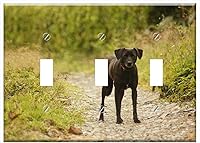 Vista 1 de Switch Plate Triple Toggle - Insects Animals Birds Nature The India Quindio 3