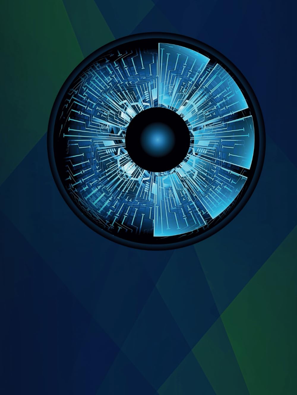 Journal men, notebook men, a4, men gifts,notepad, organiser: Collection The Digital Era " The watchful Eye"