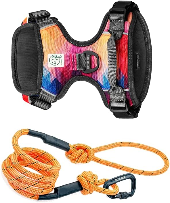Embark Urban - Arnés para perro con correa Sierra con clips para correa, 6 pies de longitud de la correa, ajustable, suave y acolchado para mayor