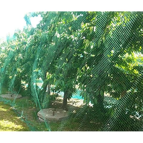 CandyHome 13Ft x 33Ft Anti Bird Protection Mesh Garden Netting Seedlings Plants Flowers Fruit Trees Vegetables from Rodents Deer Reusable Fencing, Green Cover