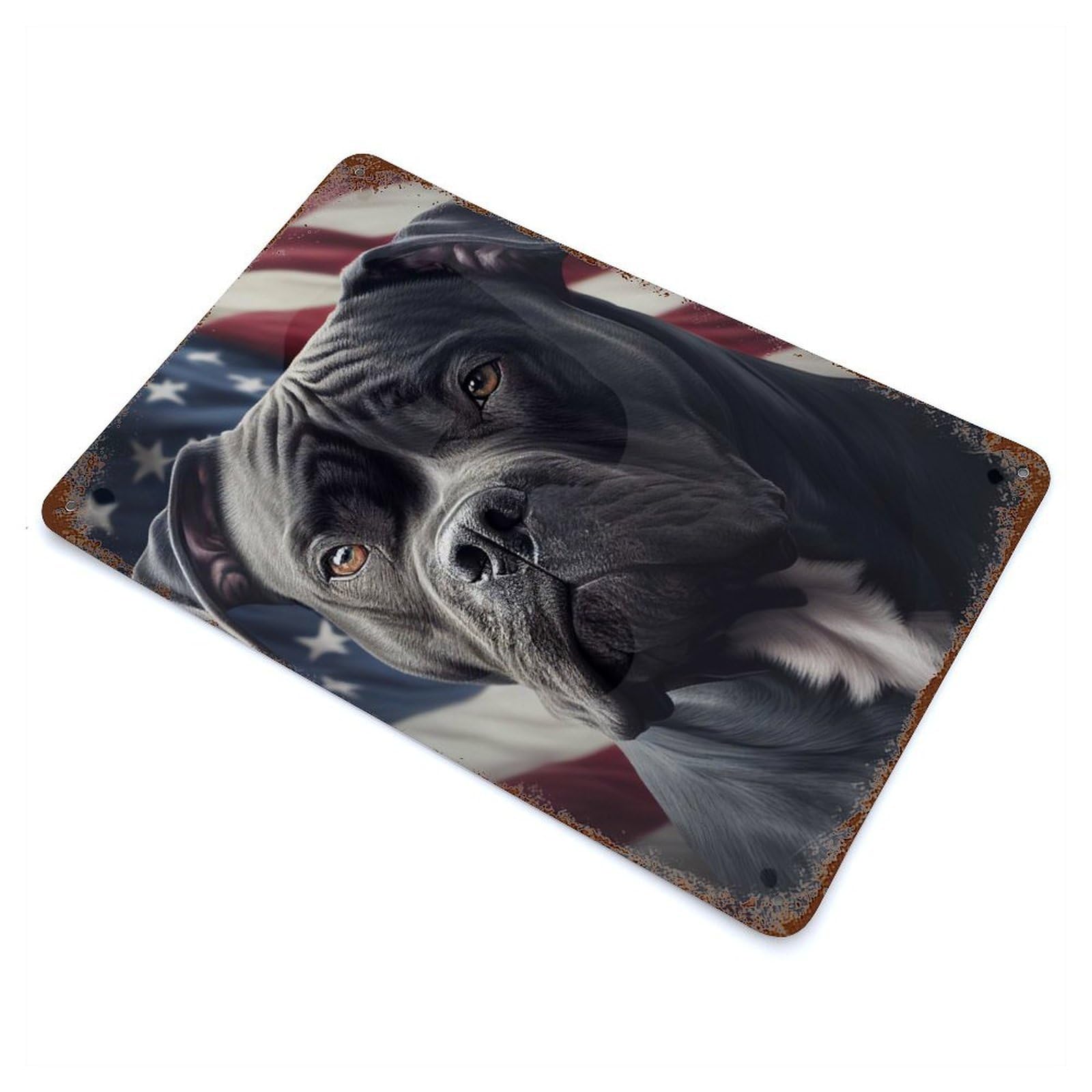 Garage Style Cane Corso America USA Aged Metal Wall Plaque 11.8"x7.9", Vintage Wall Decor for Bar And Workshop