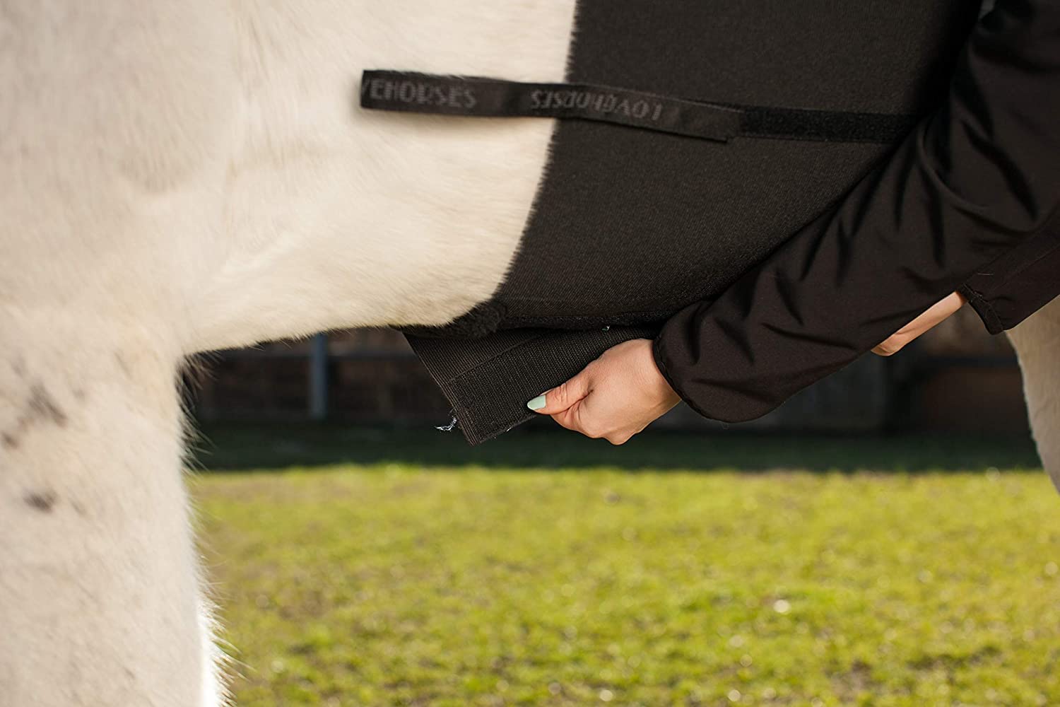 LOVEHORSES Fascia di Rispetto Deluxe - L'Originale - Comfort e Protezione Elastica - Certificato Oeko-Tex - Made in Italy - Full, Testa di Moro