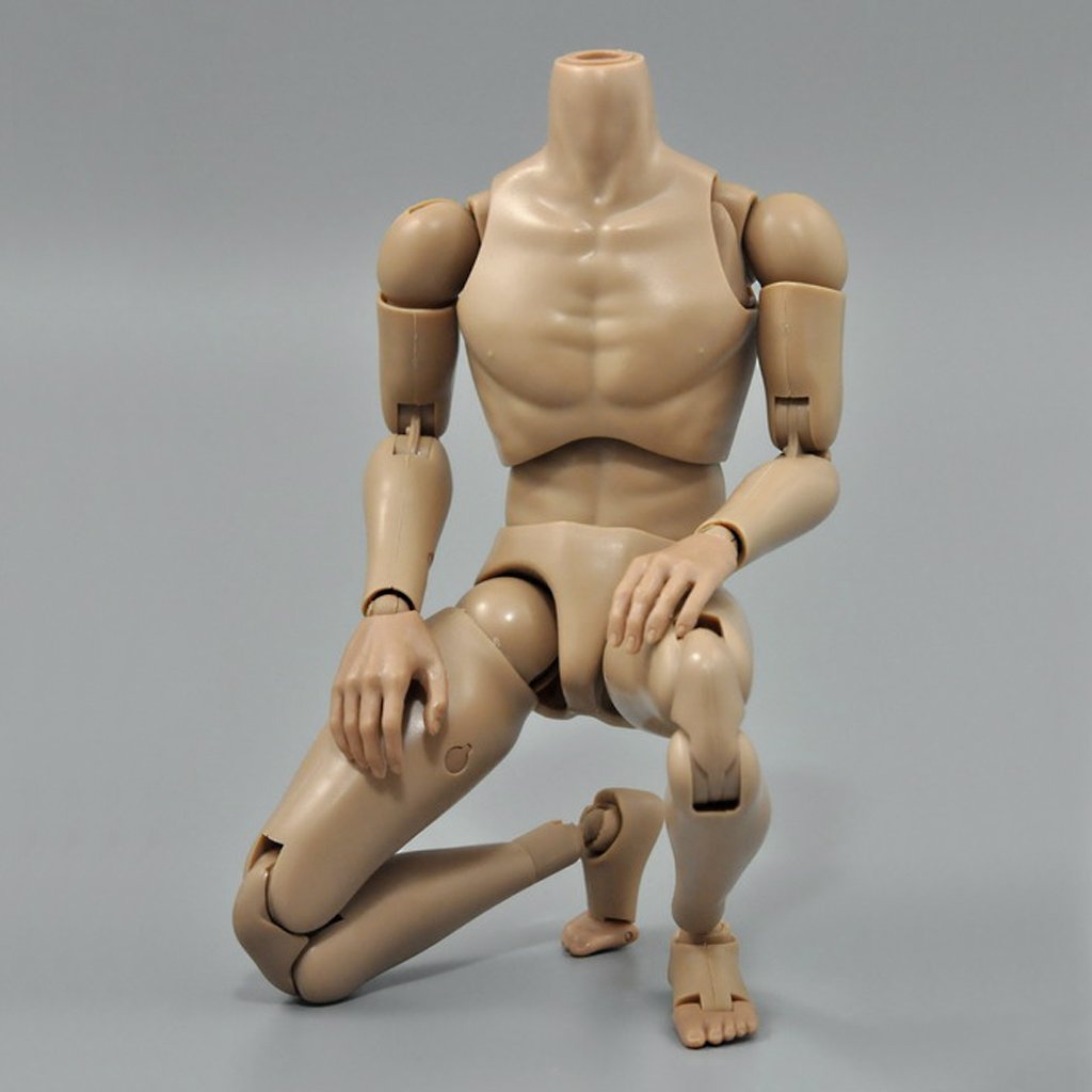 Amazon.com: ZYAQ 1/6 Scale Narrow Shoulder Male Action Figure Body