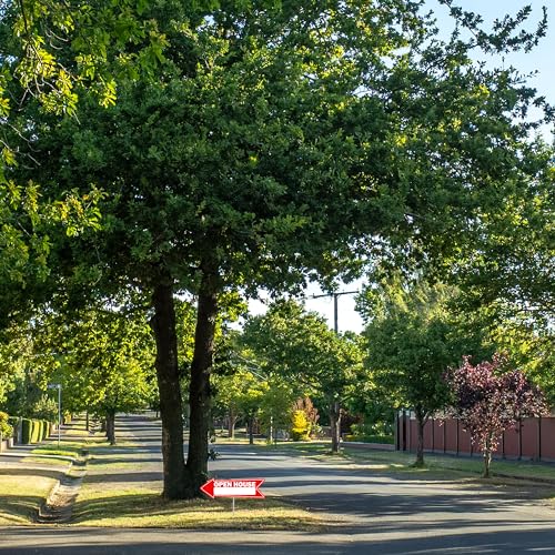 Rogue River Tactical 6 Piece Open House Arrow Yard Sign For Sale By Owner, Realtor, Real Estate 16x5 Inch - Image 3