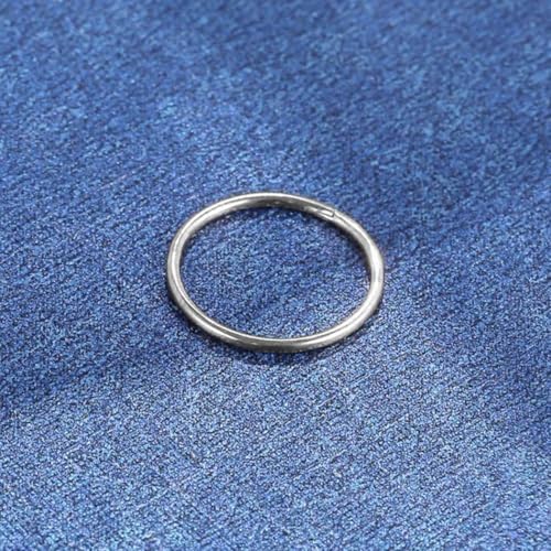 LOMISS BRINCO PIERCING ARGOLA SEGMENTO ARTICULADO AÇO CIRÚRGICO PVD (PRATA, 1.0X8)