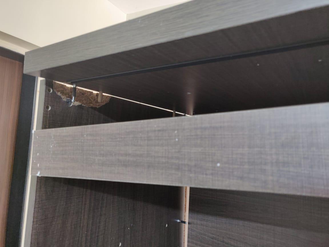 Zuari Swann V3 Engineered Wood 3 Door Wardrobe (Chocolate Sawline PLB