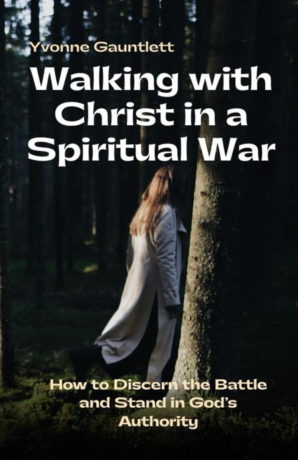 Walking with Christ in a Spiritual War: How to Discern the Battle and Stand in God’s Authority