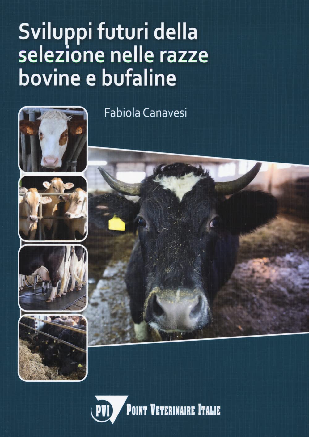 Sviluppi Della Selezione Nelle Razze Bovine E Bufaline - 4