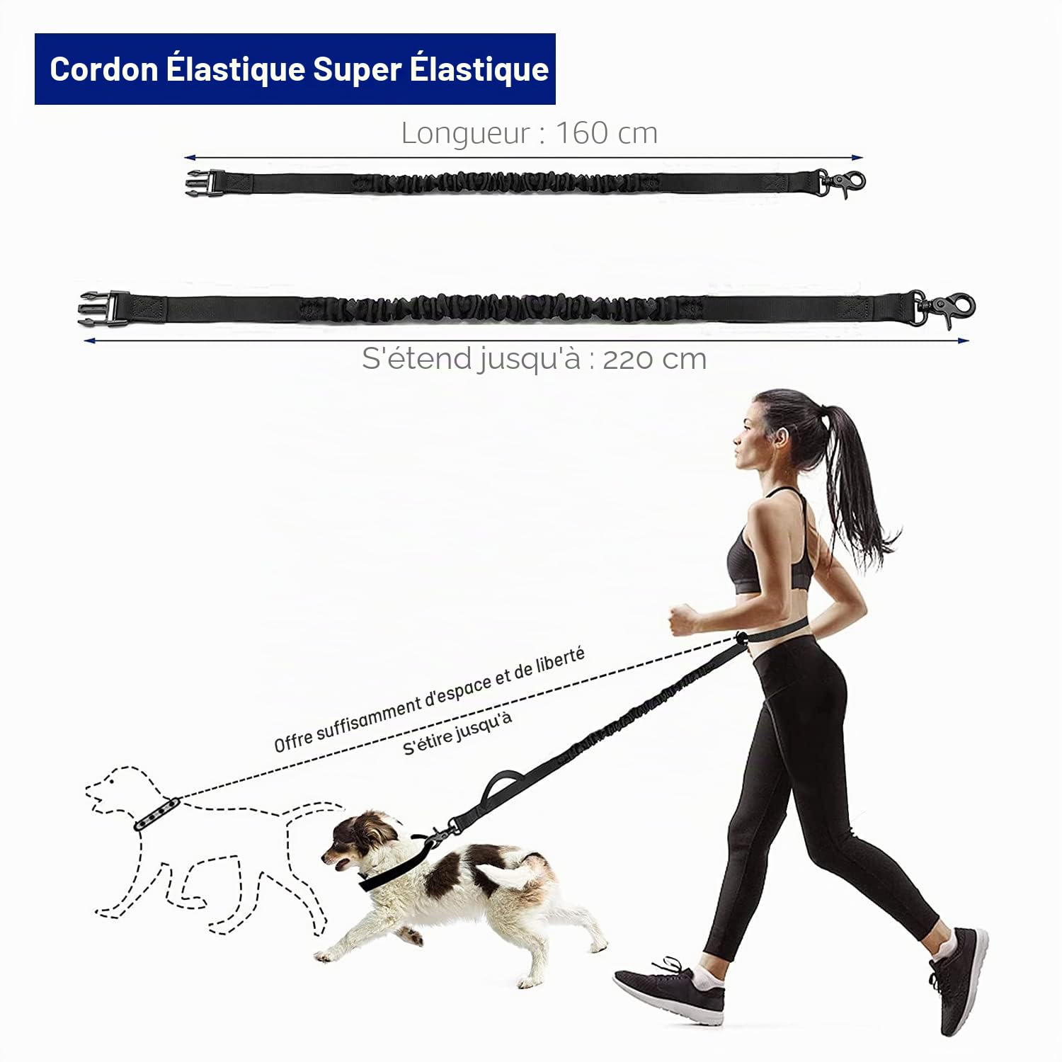 Edipets, Laisse Canicross, Main Libre Chien, pour Ceinture, Running, Anti-tirons, réfléchissant, 160-220 cm (Gris)
