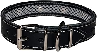Hundehalsband Leder mit Schutznetz für Flohhalsband Hunde, Hundehalsband das schützt und die Lebensdauer des Zeckenhalsbands für Hunde verlängert