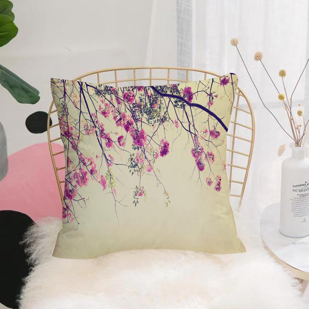 HYOSXW Cushion Cover,Throw Pillow Case Home Decorative for Living Room Bedroom Sofa Chair 16X16 Inch,Nature, flowers flowers branches sakura blossoms cherry blossoms spring photo,Pillowcase 40X40cm