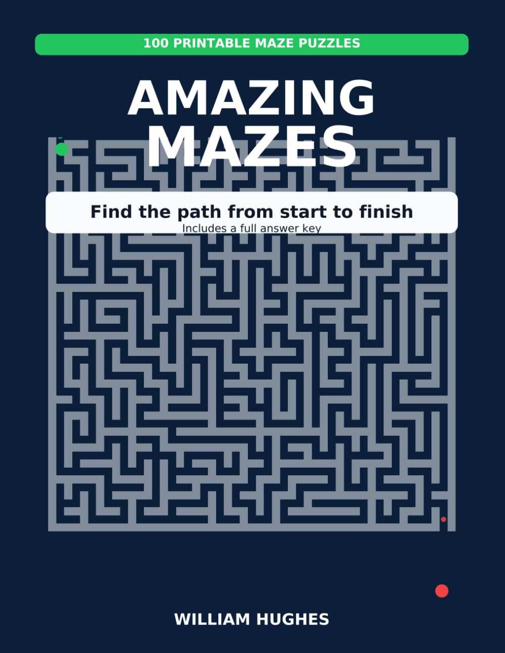 Amazing Mazes Volume 1: 100 Mazes, 100 different paths, 100 solutions