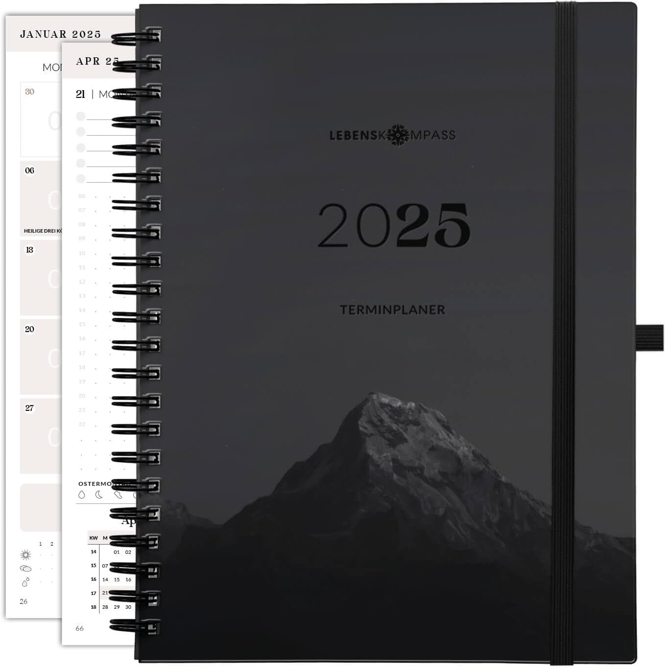 Lebenskompass Kalender 2025 Buchkalender A5 "WALD" - Schöner