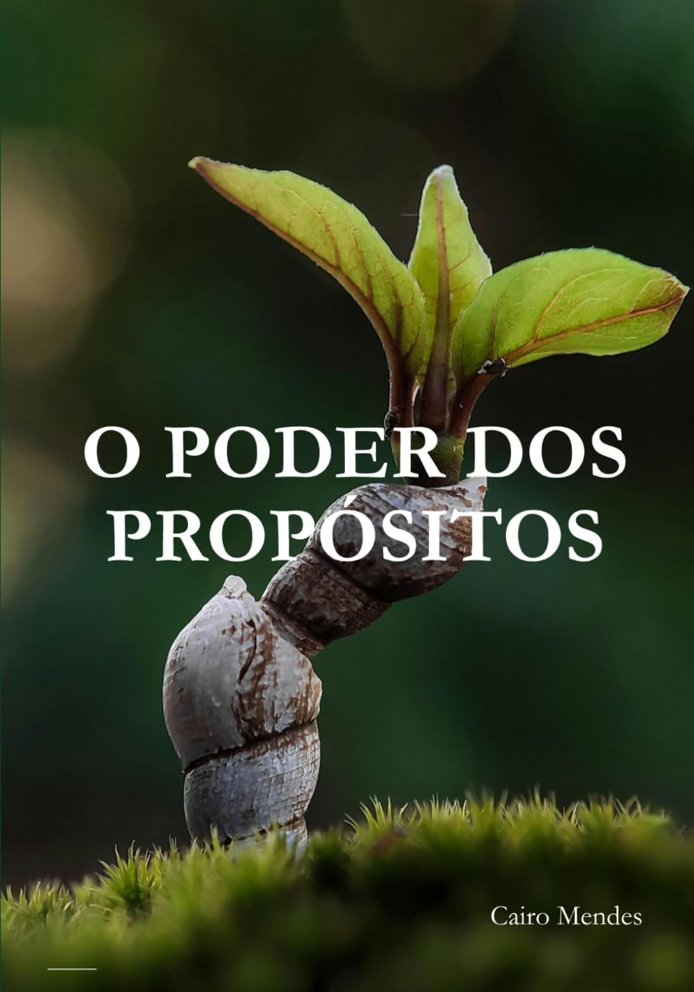 O Poder dos Propósitos