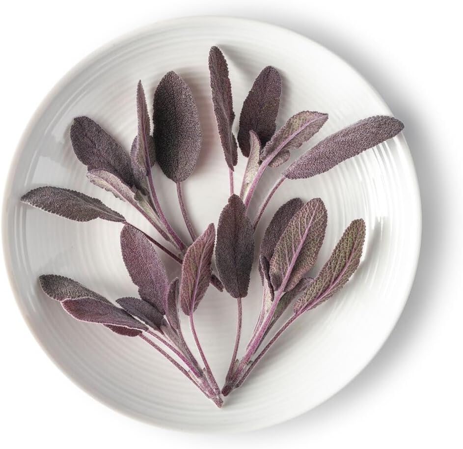 Fresh Herb Tops - Purple Sage - 4-3oz Container (Average 50 Pieces Per Container)