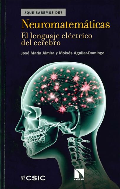 Portada de Neuromatemáticas : el lenguaje eléctrico del cerebro