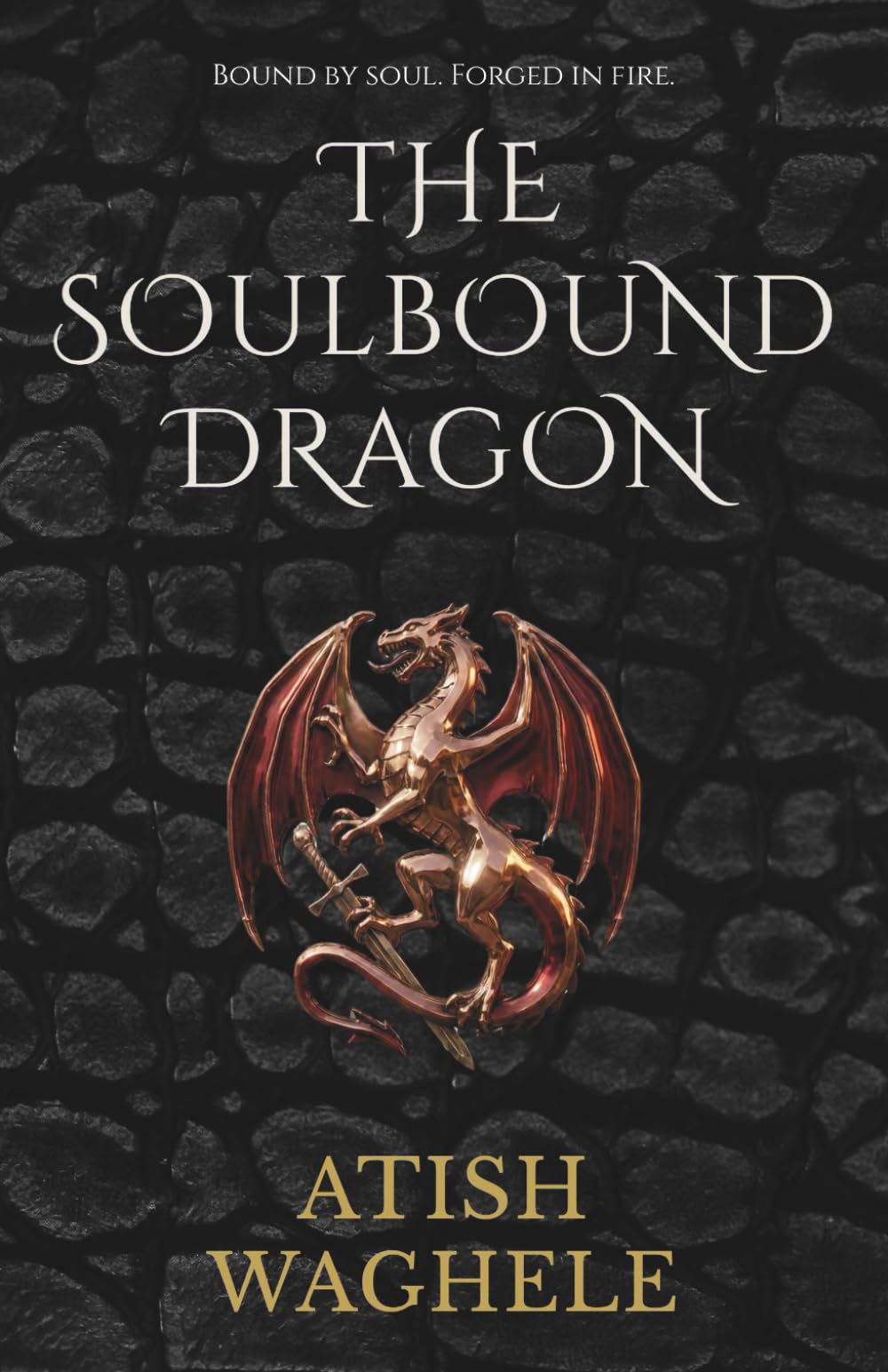 The Soulbound Dragon (The Ancients Reborn Saga)