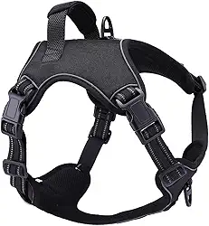 Peitoral Antipuxão Colete Resistente Cães Fortes MADOG Power Preta (tamanho G)