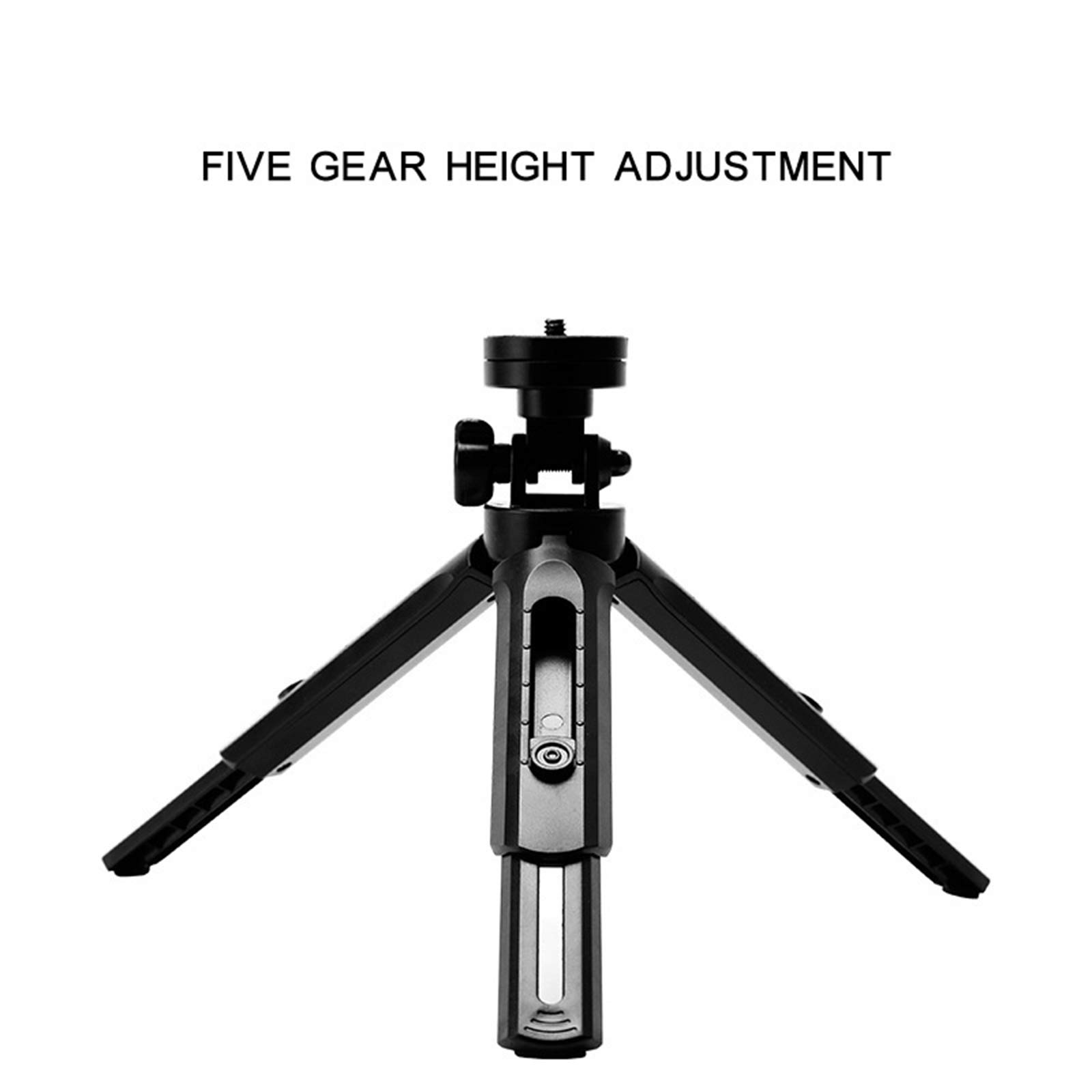 Luce ad Anello da 10" Luce per Selfie con Supporto Treppiede, 3 modalità Colore Lampada Anulare Regolabile Ring Light LED per Youtube, TIK Tok,Trucco, Fotografia, Streaming Live