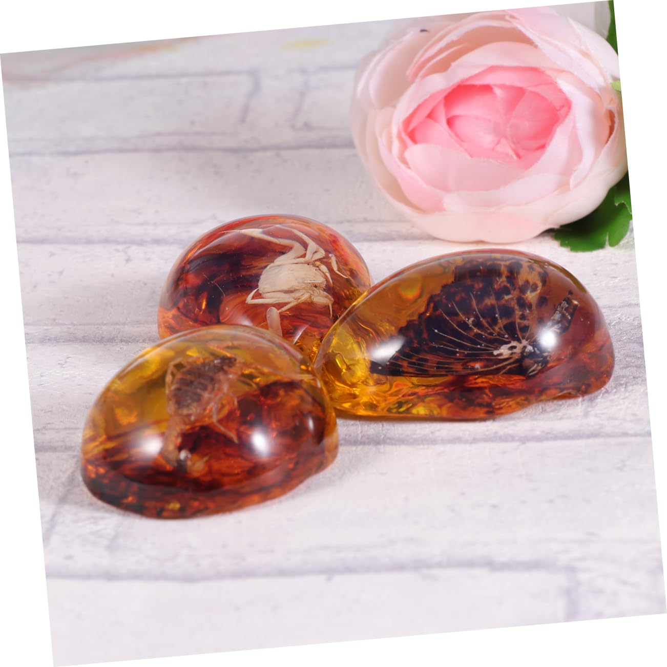 OUNONA 3 Pcs Amber with Insect Inside Insect Specimen Amber Untreated Amber Art Stone Amber Novelty Amber Earring Amber Pendants Amber with Inside Amber Natural Amber Charm Decoration